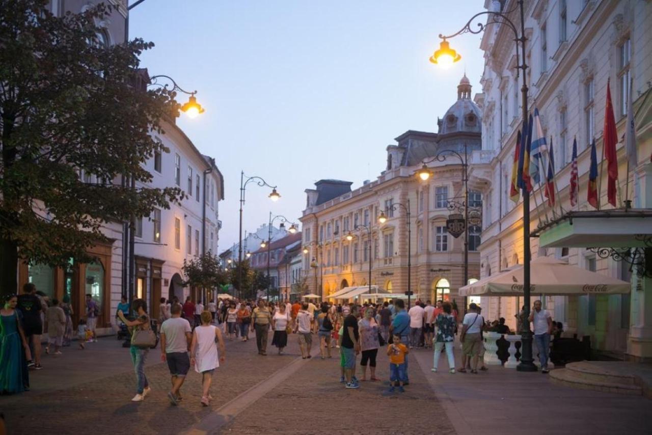 Floasiu Residence Guesthouse Sibiu Ngoại thất bức ảnh